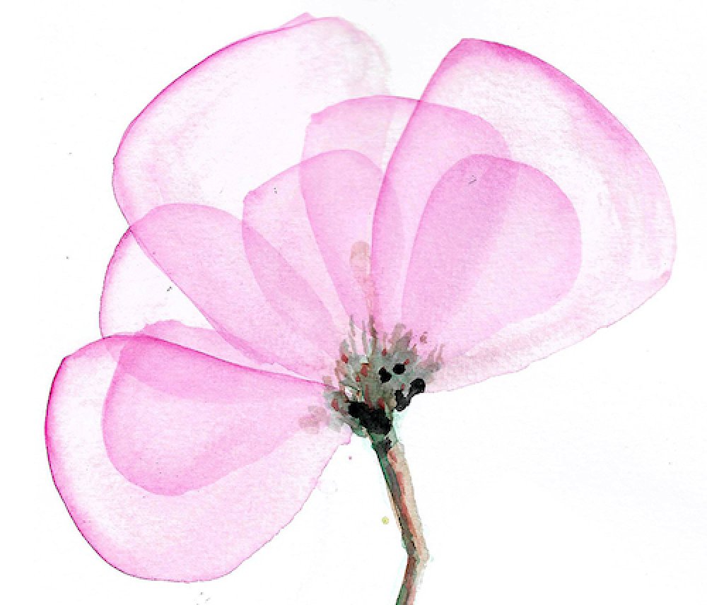 Sulu Boya, Damla Katuk