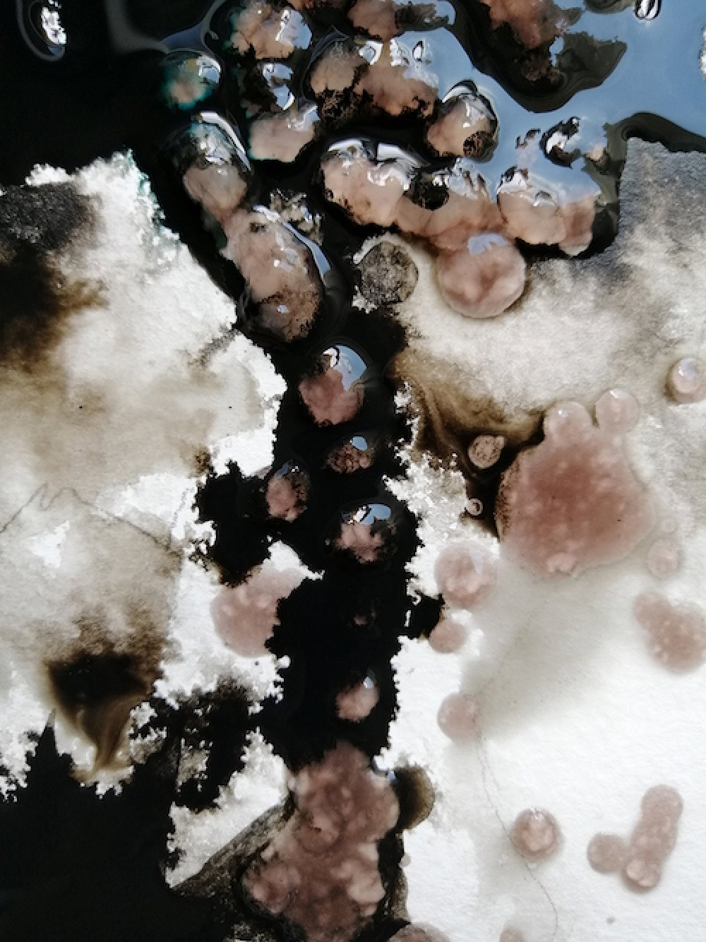 Mürekkep, Damla Katuk