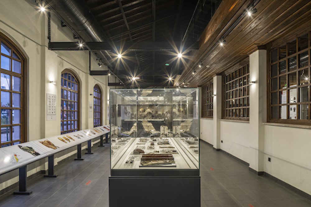 Cerrahi El Aletleri Müzesi